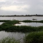 Lagune de Porto-Novo