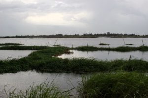 Lagune de Porto-Novo