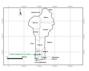 04.4_carte_foret_01.jpg