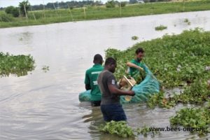 l'équipe des poissons à la recherche d'espèces vivants dans le milieu